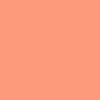 Lee #008 Dark Salmon Gel Filter