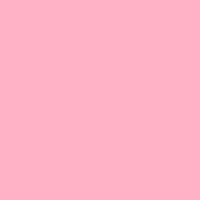 Lee #110 Middle Rose Gel Filter