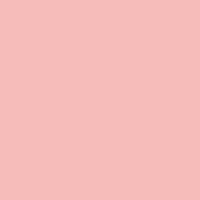 Rose Gold Rosco #305 Gel Filter