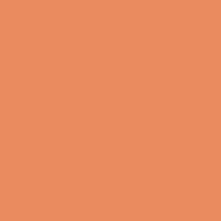 Lee #017 Surprise Peach Gel Filter