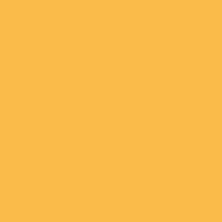 Lee #020 Medium Amber Gel Filter