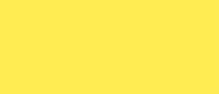Bright Yellow #10 Envelopes - 50 envelopes