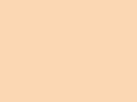 Lee #009 Pale Amber Gold Gel Filter