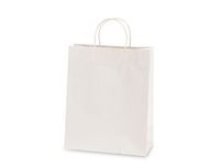 Pastel Pink Gift Bag 6ct