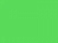 Lee #089 Moss Green Gel Filter