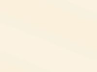Wedding Wrap - Champagne Pearl 18"x833' Gift Wrap Full Ream Roll (1 roll) - Wraps -E6277F18