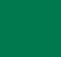 Premium 20" x 30" Color Tissue Paper - 480 Sheets (Festive Green)