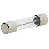 RadioShack 2701041 20 Amp 250 Volts Ceramic Fuse for Microwave Ovens