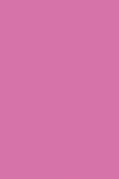 Spectra Deluxe Bleeding Tissue Paper, 20 x 30 Inches, Dark Pink, Pack of 24