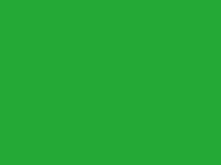 Pack of 1, Flourescent Green 24" x 833' Full Ream Roll Gift Wrap for Holiday, Party, Kids' Birthday, Wedding & Special Occasion Packaging