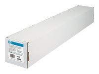 Everyday Adhesive Matte Polypropylene, 120 g/m2, 24'' x 75 ft, White, 2 Rolls/Pk, Sold as 1 Package