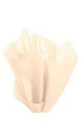 Tissue Paper Peach 20" x 30" 120 Large Sheets Gift Wrap Wrapping Retail