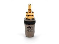 PLANET WAVE RCAP10 10 Pack Bul