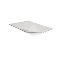 Molynlycke -Mepilex Transfer - 6x8