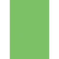 Spectra PAC59112BN Deluxe Bleeding Art Tissue, Spring Green, 20" x 30", 24 Sheets Per Pack, 5 Packs