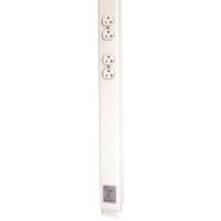 Wiremold 25DTP-412 TPP Ivry 2-20A DPLX 12FT, White