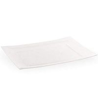 Lillian 11-3/4 X 9 Inch Rectangular Plastic Plates, 10 Count, Clear