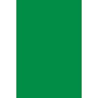 Spectra PAC59122BN Deluxe Bleeding Art Tissue, Spring Green, 20" x 30", 24 Sheets Per Pack, 5 Packs
