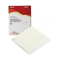 Hollister Restore Calcium Alginate With Silver 2"X2" - Box of 10 - Model 529967