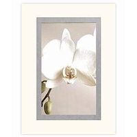 PRINZ Arctic White' mat w/Silver Double Bevel fits 8x10 / displays 5x7-5x7