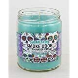 Smoke Odor Exterminator 13 oz Jar Candles (Sugar Skull, 3)
