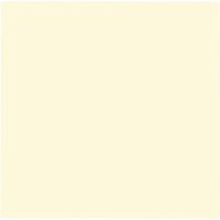 Ivory Solid Supplies and Birthday Party Pack (Ivory Luncheon Napkins)