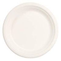 Stalkmarket 100% Compostable Sugar Cane Fiber Heavy Duty Plate, 9", 500Count case