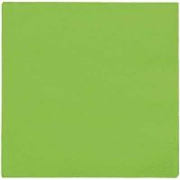 Kiwi Dinner Napkin 25 Count
