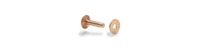 1" Pack Of 50 #9 Copper Rivets & Burrs