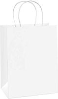 White Kraft Paper Gift/Retail Bags with Handle Pack of 25ct