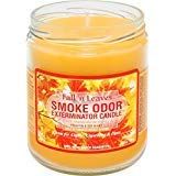 Smoke Odor Exterminator 13oz Jar Candles (Fall N Leaves, 3)