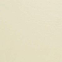 480ea - 15" X 20" Vanilla Premium Tissue Paper