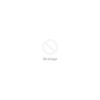 Axis Communications P3225-V MKII 1080P Dome 0952-001