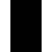 Backdrop Alley Black Premium Heavyweight Solid Muslin Photo Background, 10' x 24'