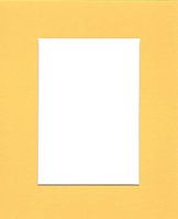 Pack of (5) 11x14 Acid Free White Core Picture Mats Cut for 8x10 Pictures in Yellow