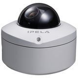 Ip Minidome Rugged Camera Outdr J/MPEG4 Csmount Poe Audio Motion