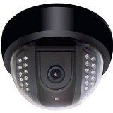 Speco Technologies 1/3-Inch CCD Color Indoor Dome Camera with IR LEDs and Anti-Reflection Technology