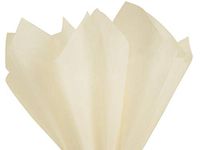Birch Ivory Art DIY Crafts Tissue Paper for Gift Wrapping 20"X26" 5 Sheets