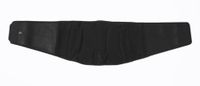 Phiten Titanium Lumbar Support, Light, Black, Large