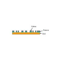Lacey formvar film stablized with carbon, support film mounted on 400 mesh Cu Gilder Grid, For TEM and SEM, pack of 25