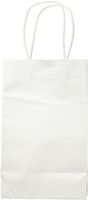White Solid Kraft Bag Cub