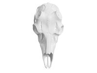 Mountain Mike's Reproductions Skull Master, Large Antler Mounting Kit