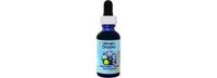 Vervain Dropper 1 Ounces