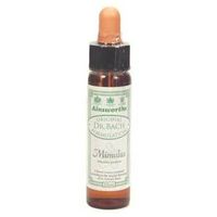 Dr Bach - Oak Bach Flower Remedy | 10ml