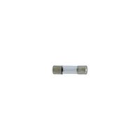 BoliOptics 1 Amp 220V Glass Fuse for Microscope EP99031120