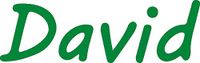 hBARSCI David Vinyl Decal - 5 Inches - for Cars, Trucks, Windows, Laptops, Tablets, Outdoor-Grade 2.5mil Thick Vinyl - Green
