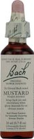 Bach Flower Remedies Essence Mustard -- 0.7 fl oz - 3PC