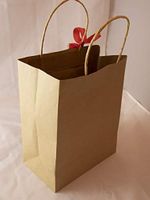 Glo4Him Brown Kraft Paper Bags with Handles (25), 8 x 4.5 x 10 inch Shopping Bags, Kraft Bags, Retail Bags, Party Bags, Brown Paper Gift Bags with Handles Bulk