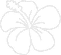 hBARSCI Hibiscus Flower Vinyl Decal - 5 Inches - for Cars, Trucks, Windows, Laptops, Tablets, Outdoor-Grade 2.5mil Thick Vinyl - White
