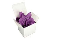 Verazui Plum Purple Pack of 5 White Favor Boxes 3x3x3 with Color Tissue Paper Sheets
